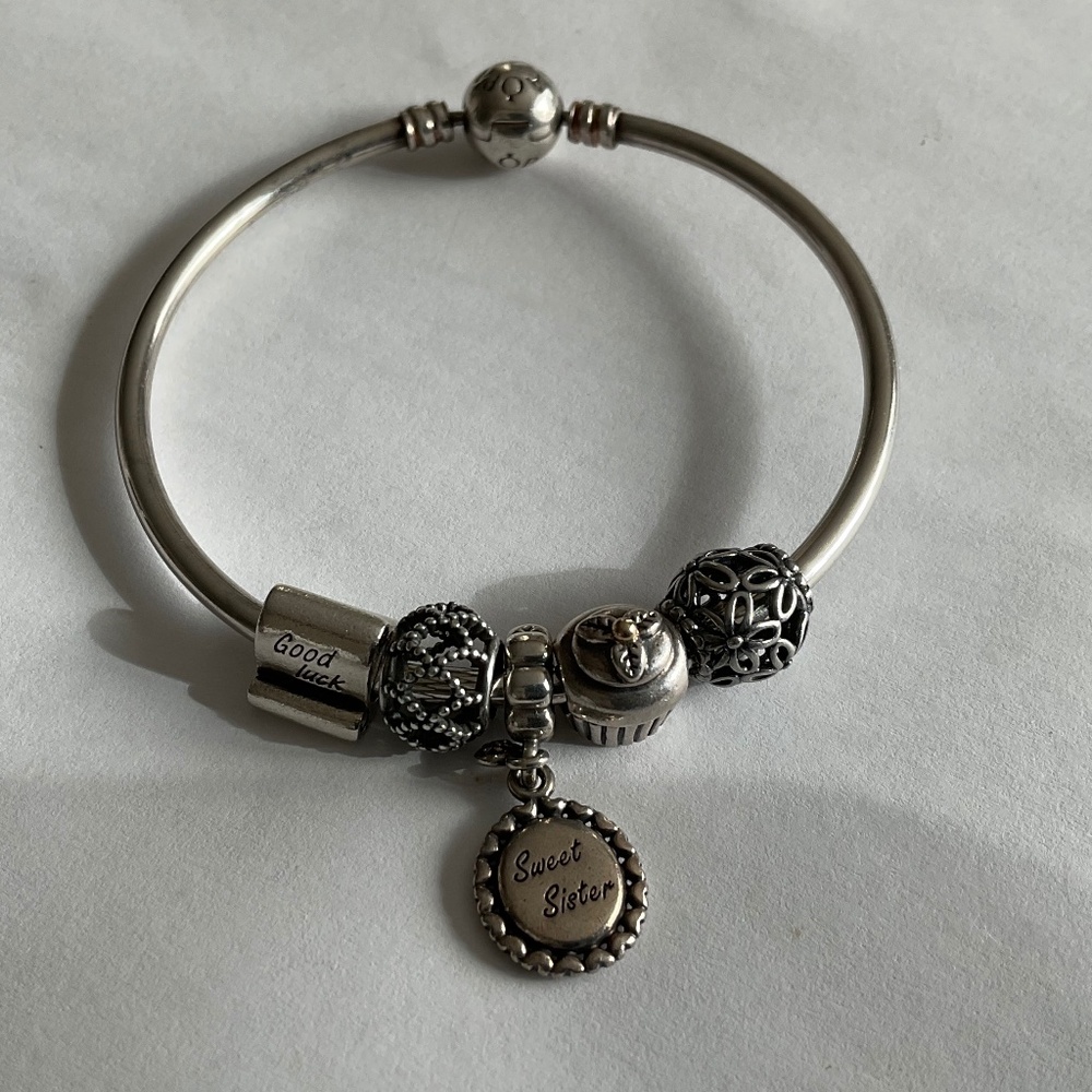 Pandora bangle and 6 pandora charms